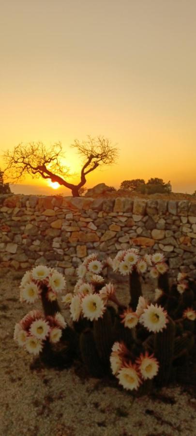 Bed and Breakfast Casa Relax Isabelle Alberobello Exteriér fotografie