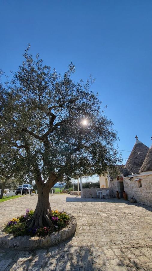 Bed and Breakfast Casa Relax Isabelle Alberobello Exteriér fotografie