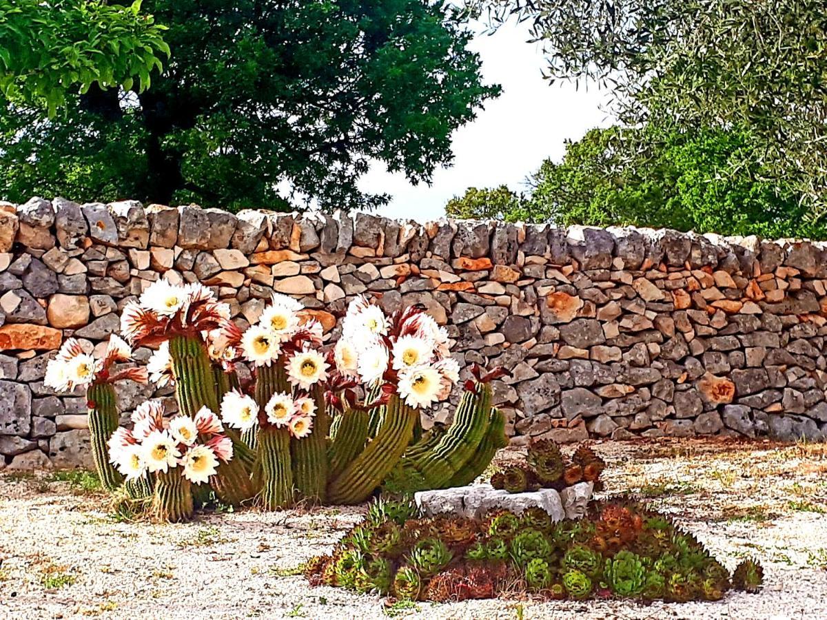 Bed and Breakfast Casa Relax Isabelle Alberobello Exteriér fotografie